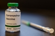۸ گروه ایرانی به مرحله آزمایش حیوانی واکسن کرونا رسیدند
