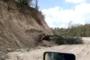 رانش زمین در منطقه سیب مداب بویراحمد دهها درخت را تخریب کرد