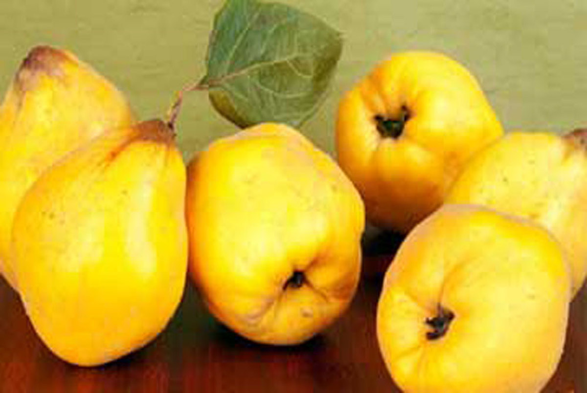 میوه ضدسرطان که موجب کاهش وزن می‌شود