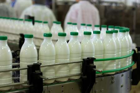 تولید سالانه شیر کردستان به 226هزار تُن رسید  فعالیت 11 کارخانه فرآوری مواد لبنی