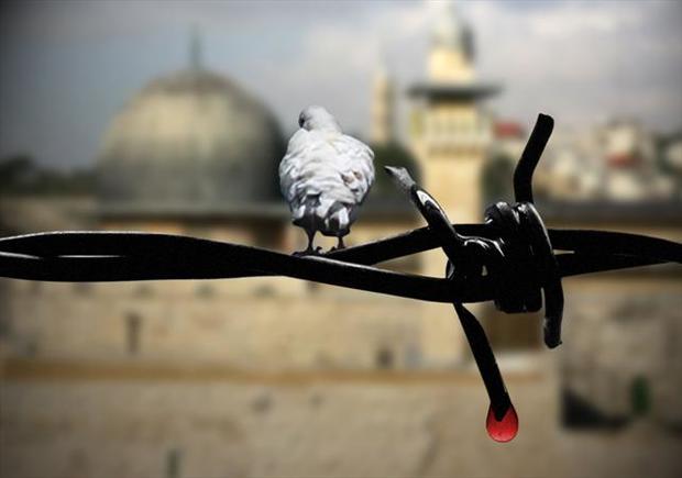 سخنان امام خمینی درباره فلسطین بر قلب و دل امت اسلامی نقش بسته است