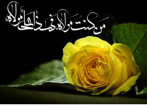نهج‏البلاغه نازله روح علی(ع) و مرهمى است براى دردهاى فردى و اجتماعى