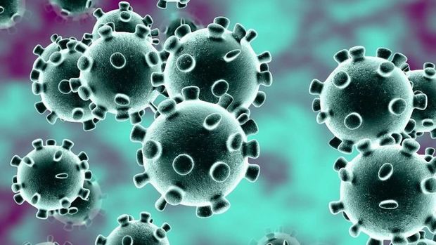 بستری شدن ۲۹بیمار مبتلا به ویروس کرونا در بروجرد