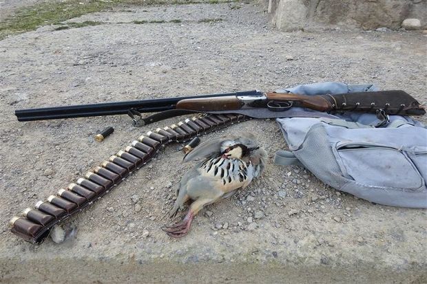 هفت شکارچی غیرمجاز در مازندران دستگیر شدند