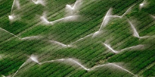 پنج هزار هکتار از اراضی کشاورزی قزوین به آبیاری نوین مجهز می‌شوند