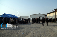 شناسایی شهدای دبستان میناب (22)