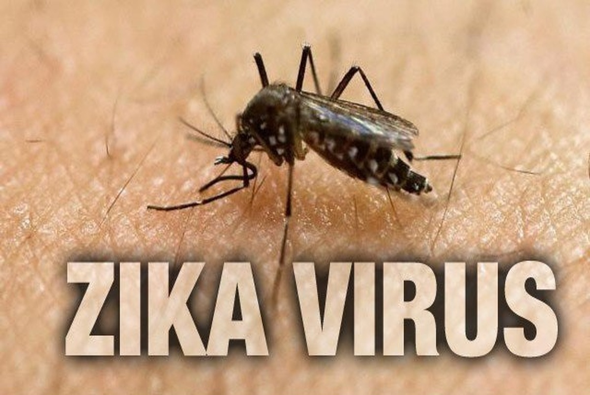 مشاهده اولین مورد نارسایی ناشی از ویروس زیکا در اسپانیا