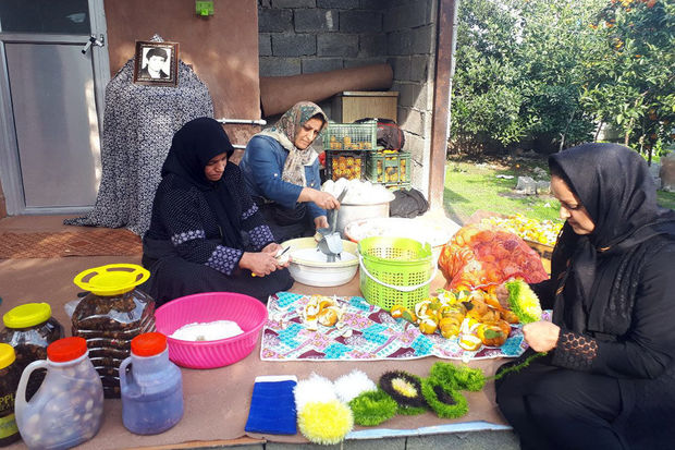 ۲۲ صندوق خرد زنان کردستان تسهیلات قرض الحسنه دریافت کردند