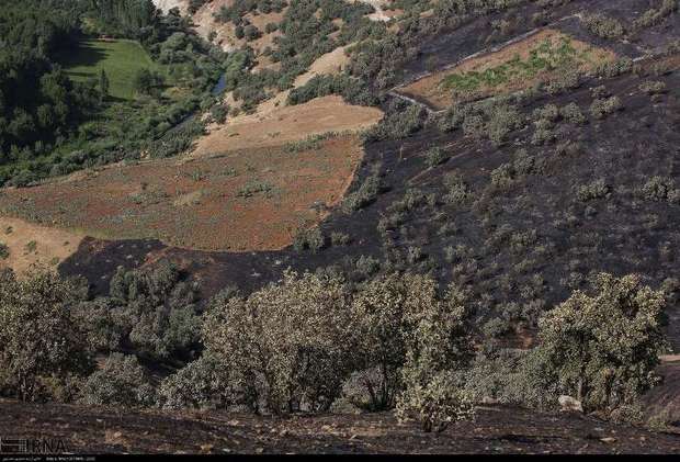منابع طبیعی کردستان در خصوص خطر آتش سوزی مراتع هشدار داد