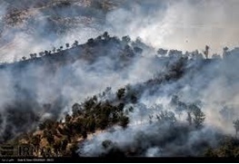 پیشگیری از آتش‌سوزی در جنگل‌ها و مراتع