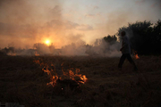 یک هکتار از مزارع گندم پلدختر در آتش سوخت