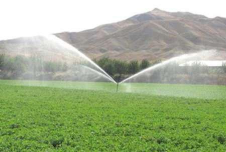 خشکسالی و کمبود منابع آبی مهم ترین مشکل کشاورزی سمنان است