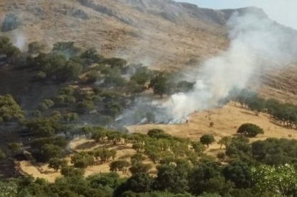 تکذیب  آتش سوزی در  باغ های یکی از روستاهای طارم سفلی