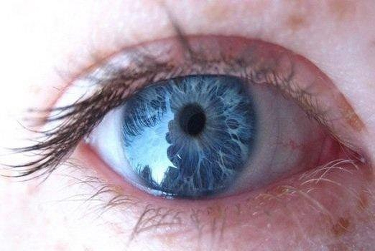 همه چشم آبی‌ها جد مشترک دارند