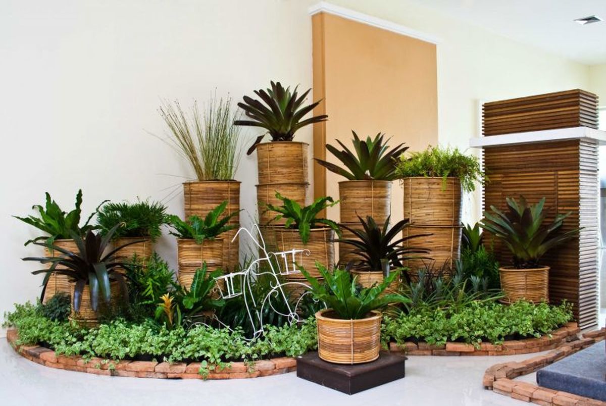 جی پلاس: تاثیر فوق العاده گیاهان در کاهش آلودگی هوای آپارتمان!