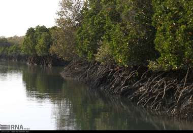 دانشگاه هرمزگان و جایکا ژاپن قرارداد همکاری امضا کردند
