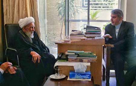 وزیر فرهنگ و ارشاد اسلامی با آیت الله ناصری دیدار کرد