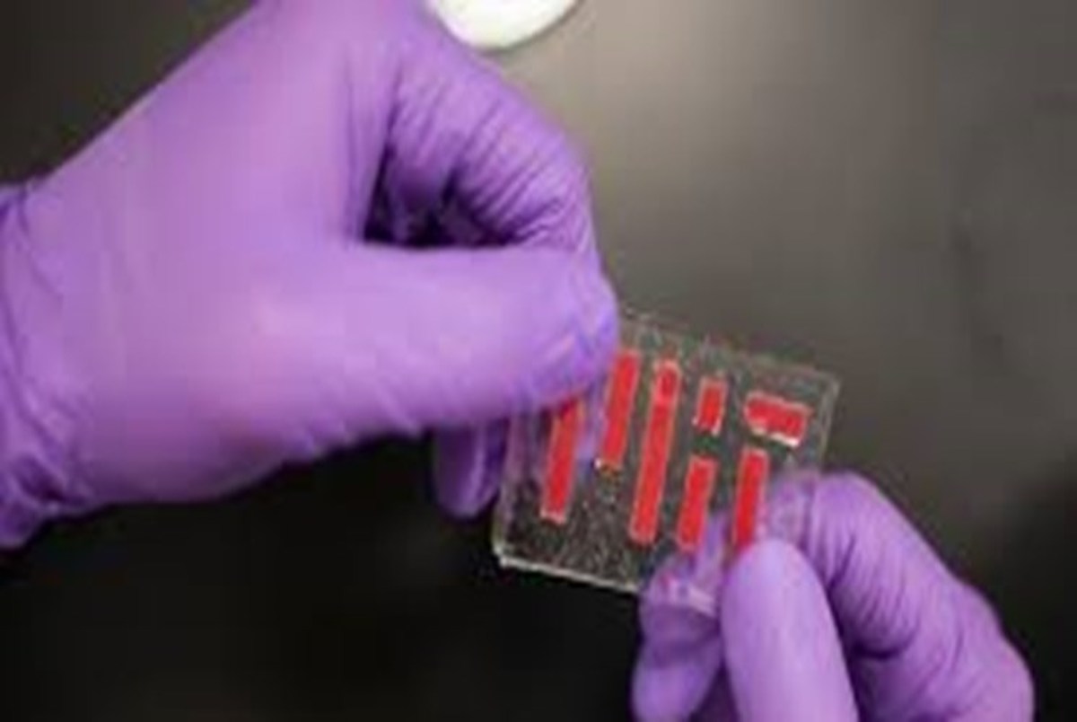 ساخت هیدروژل مصنوعی برای دریچه های قلب
