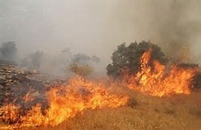 بیش از 62 هکتار از عرصه های پارک لتیان در آتش سوخت