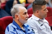 دادگاه کیفری تهران وثیقه نجفی را نپذیرفت

