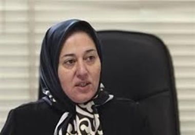 کارآفرین ملی در سمینار ماهانه کانون کارآفرینان استان زنجان سخنرانی می‌کند