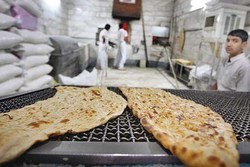 پرونده 53 نانوایی متخلف البرز به تعزیرات حکومتی ارجاع شد