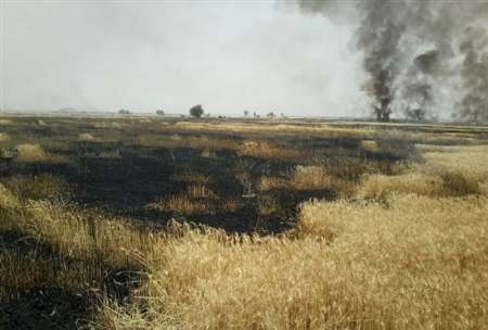 سه هکتار از مزارع گندم گیلانغرب در آتش سوخت