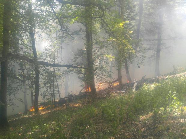آتش سوزی جنگل های بخش کجور نوشهر مهار شد