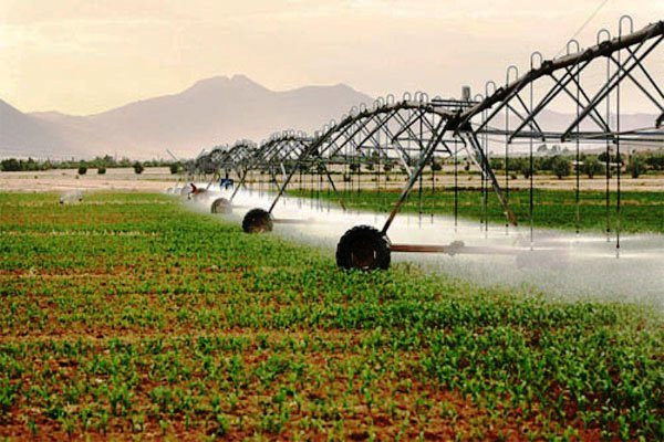 آبیاری نوین، تنها ضمانت حیات بخش کشاورزی کشور