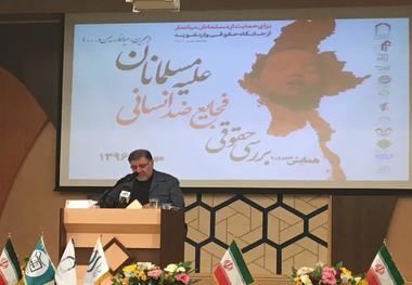 استاد برجسته حقوق بین الملل: حمایت از مسلمانان میانمار در راستای جبهه مقاومت است