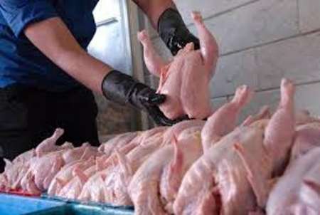 25 تن گوشت مرغ منجمد در دیر بوشهرتوزیع شد