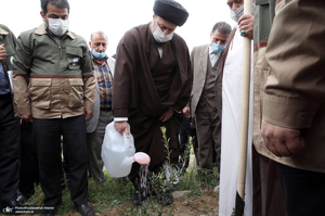 کاشت درخت به مناسبت هفته درختکاری توسط سید حسن خمینی