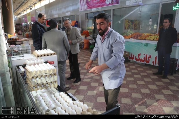 تخم مرغ 53 هزار ریالی در خراسان شمالی توزیع می شود