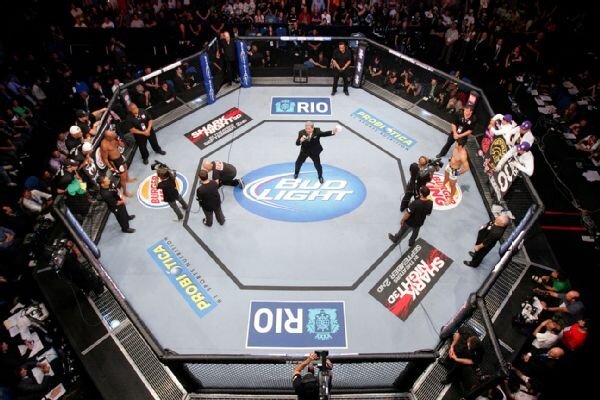 رشته رزمی MMA در ایران قانونی شد
