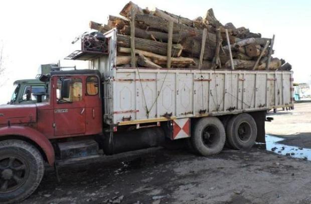 امسال بیش از 18 تن چوب قاچاق در بیجار کشف شد