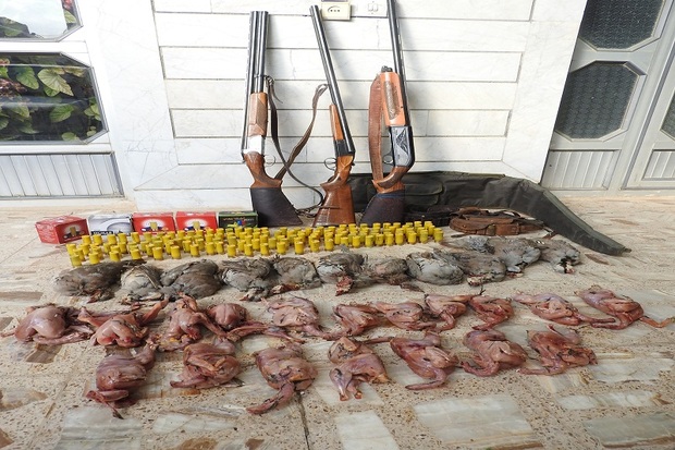 شکارچیان غیر مجاز پرنده در بوئین میاندشت دستگیر شدند
