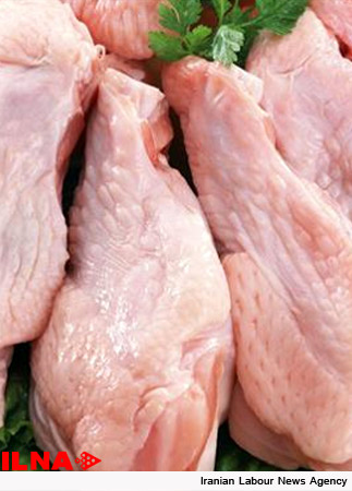 تولید بیش از ۷۸ هزار تن گوشت مرغ در سال 95 در خوزستان