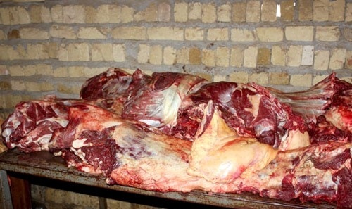 دستگیری عامل توزیع گوشت الاغ در مشهد