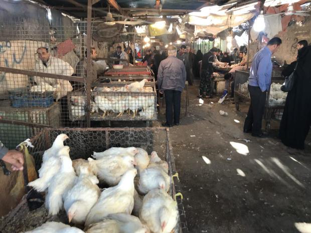 بازار مرغ و ماهی آبادان نیازمند ساماندهی است