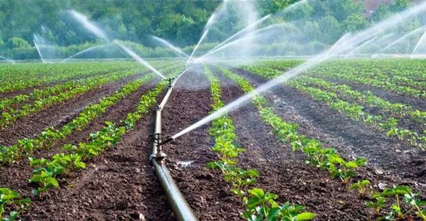 سامانه‌های آبیاری در کشاورزی استان اردبیل توسعه یافت