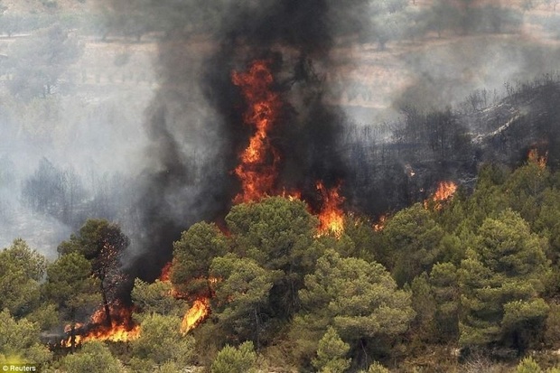 نیروها برای مهار آتش سوزی جنگل های چرام اعزام شدند