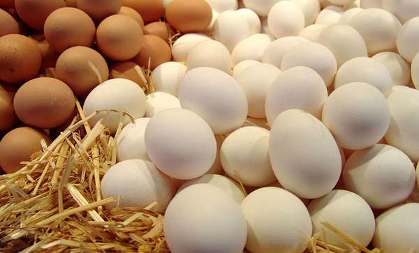 توزیع مرغ و تخم مرغ ارزان در آغاجاری