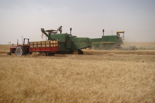 کاهش تولید گندم، بروز خشکسالی در فاروج را اثبات کرد