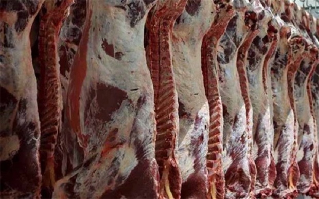 16هزار کیلو گوشت قرمز احتکاری در کهریزک کشف شد