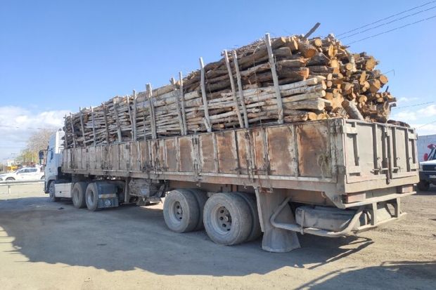 بیش از ۹۰ درصد محموله‌های چوب حمل‌شده در آذربایجان‌غربی، صنعتی است