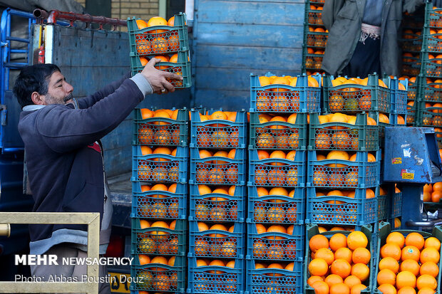 ۱۱۰۰ تن میوه برای شب عید استان سمنان خریداری می‌شود