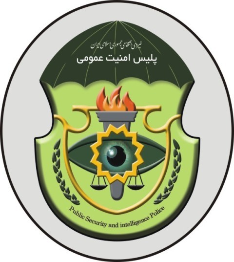 دستگیری گروهی از از اراذل و اوباش در تایباد