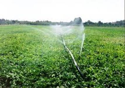 ضرورت صرفه جوئی در مصرف آب و استفاده از پساب تصفیه شده دربخش کشاورزی