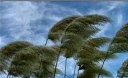 هشدار هواشناسی نسبت به خسارت ناشی از وزش باد شدید در خراسان جنوبی