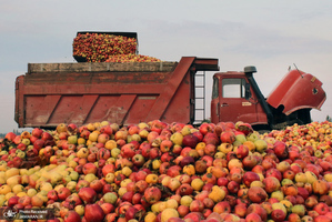 منتخب تصاویر امروز جهان- 24 مهر